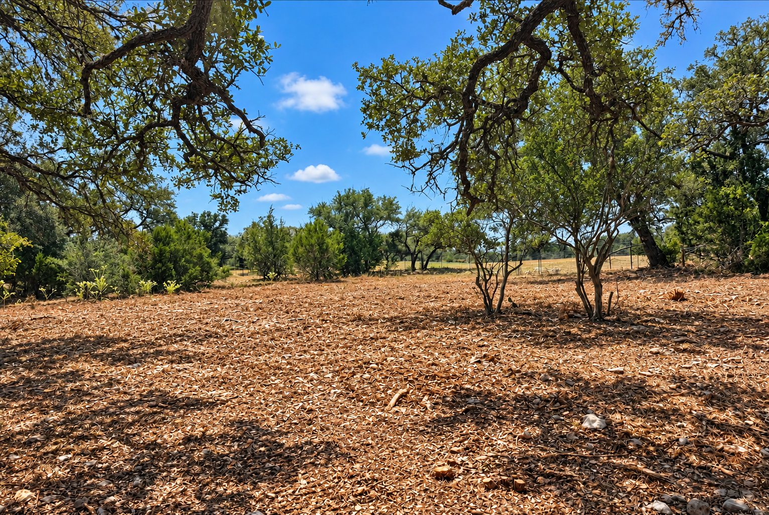 Brush and cedar clearing on acreage