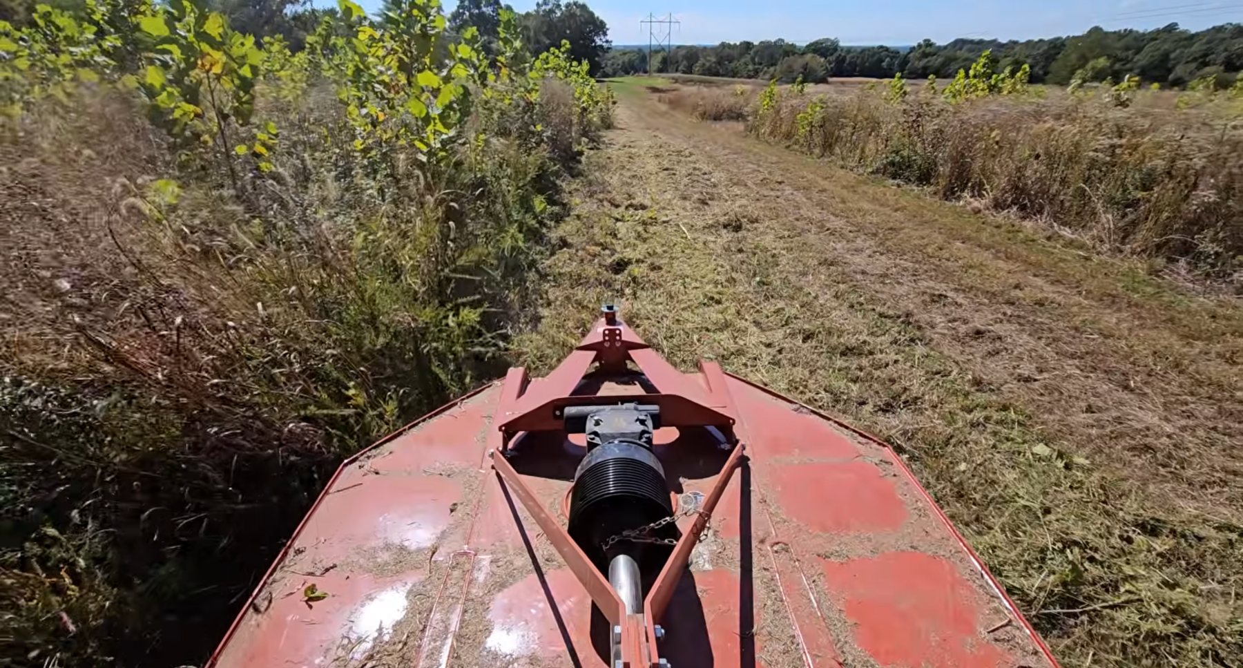 Rotary shredder cutting overgrown acreage