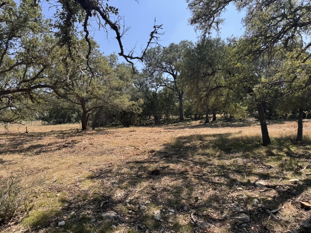 Clean, manageable wooded acreage after forestry mulching cleanup