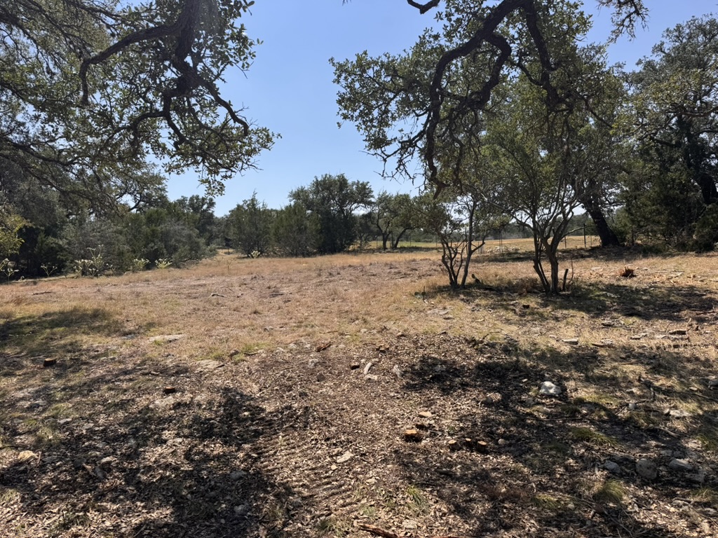 Cleaned-up Hill Country acreage around mature oak trees after forestry mulching