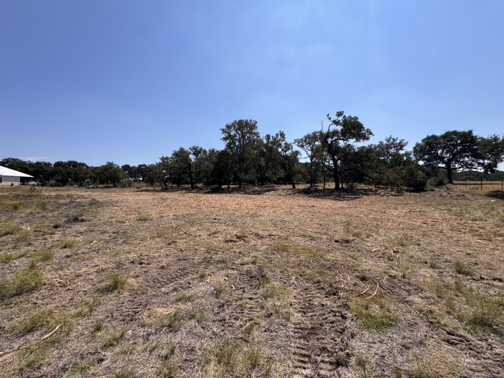 Open Boerne land in Kendall County after cedar and brush piles were forestry mulched